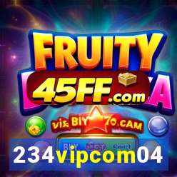 234vipcom04