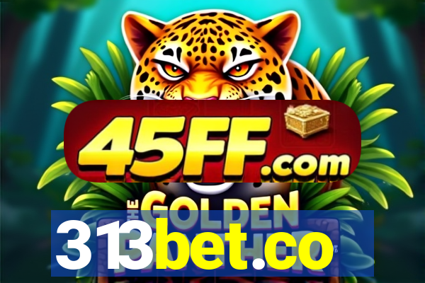 313bet.co