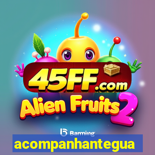 acompanhanteguanambi