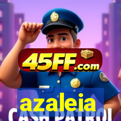 azaleia-br.com