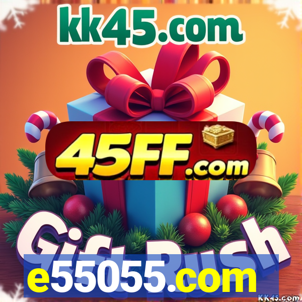 e55055.com