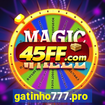 gatinho777.pro