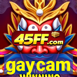 gaycam