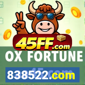 838522.com
