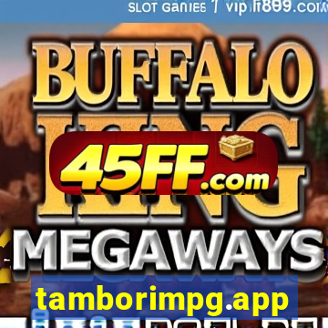 tamborimpg.app
